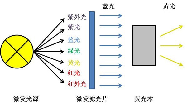 濾光片