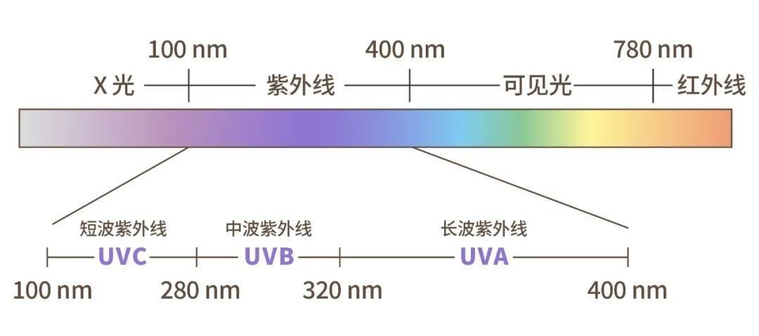 紫外光及其用途