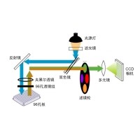 什么是熒光定量PCR、數(shù)字PCR？