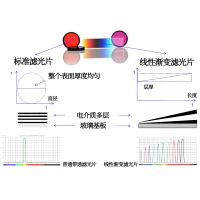 線性漸變?yōu)V光片是什么？有何特點(diǎn)？